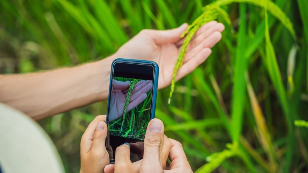 Tutorial de Marketing: La Realidad Aumentada y la Realidad Virtual 2024 1 Usuario utilizando smartphone para explorar realidad aumentada (RA) con elementos digitales superpuestos.