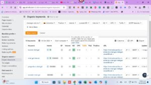 Blog - Mildred X Castillo C 6 Cómo analizar el volumen de búsqueda en una investigación de palabras clave